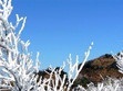 大明山